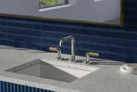Sink faucet, tall spout, P.E. Guerin decorative handles 2