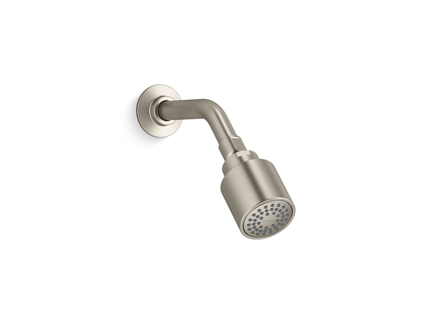 Central Park West Showerhead with Arm