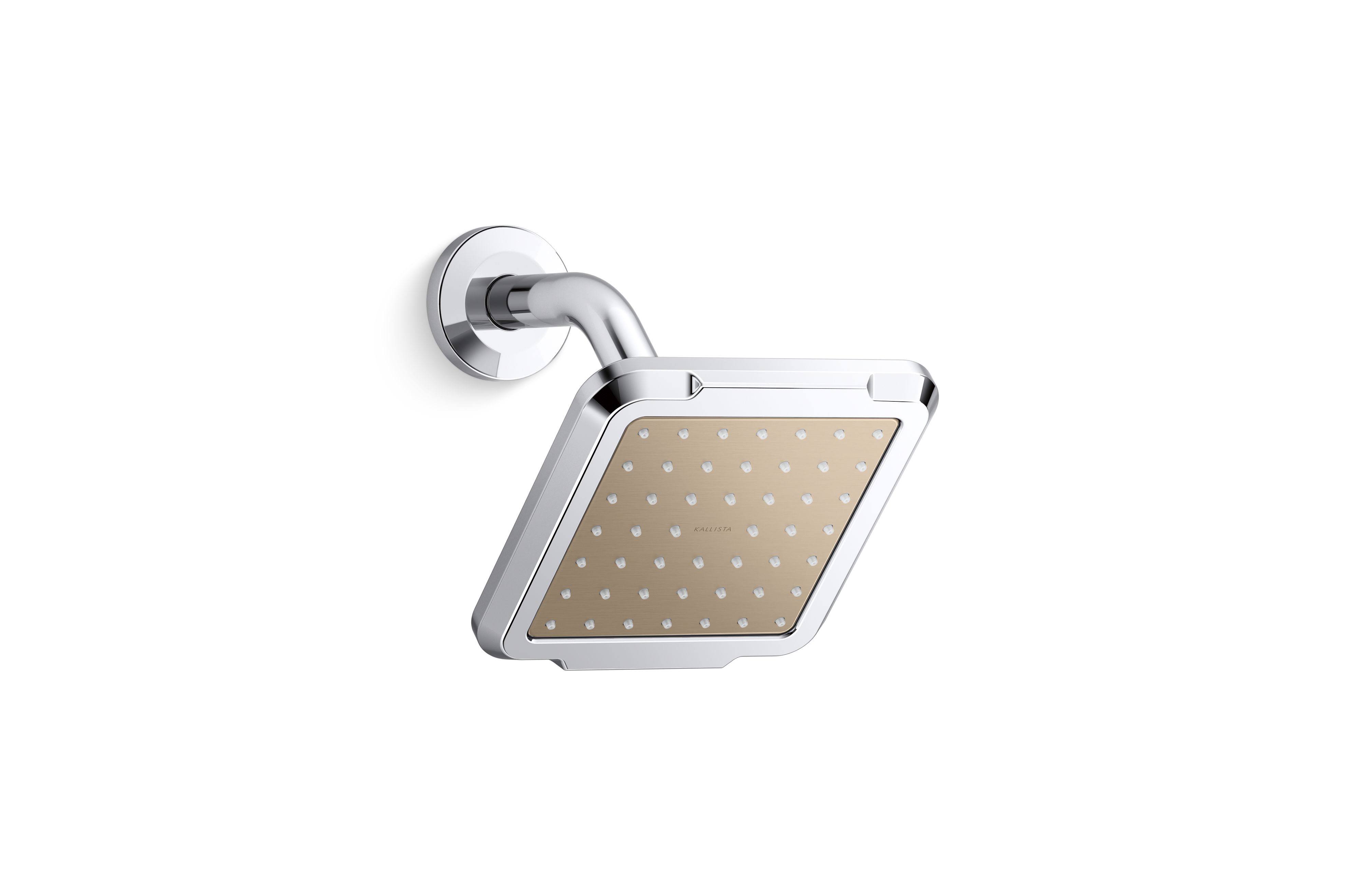 Vice™ — Showerhead with Arm #2