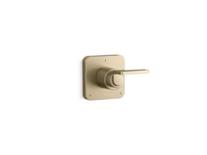 Tranfer trim, lever handle