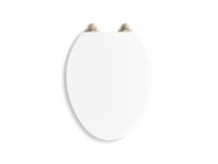 Toilet Seat 1