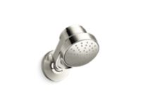 Air-Induction Showerhead with Arm 0