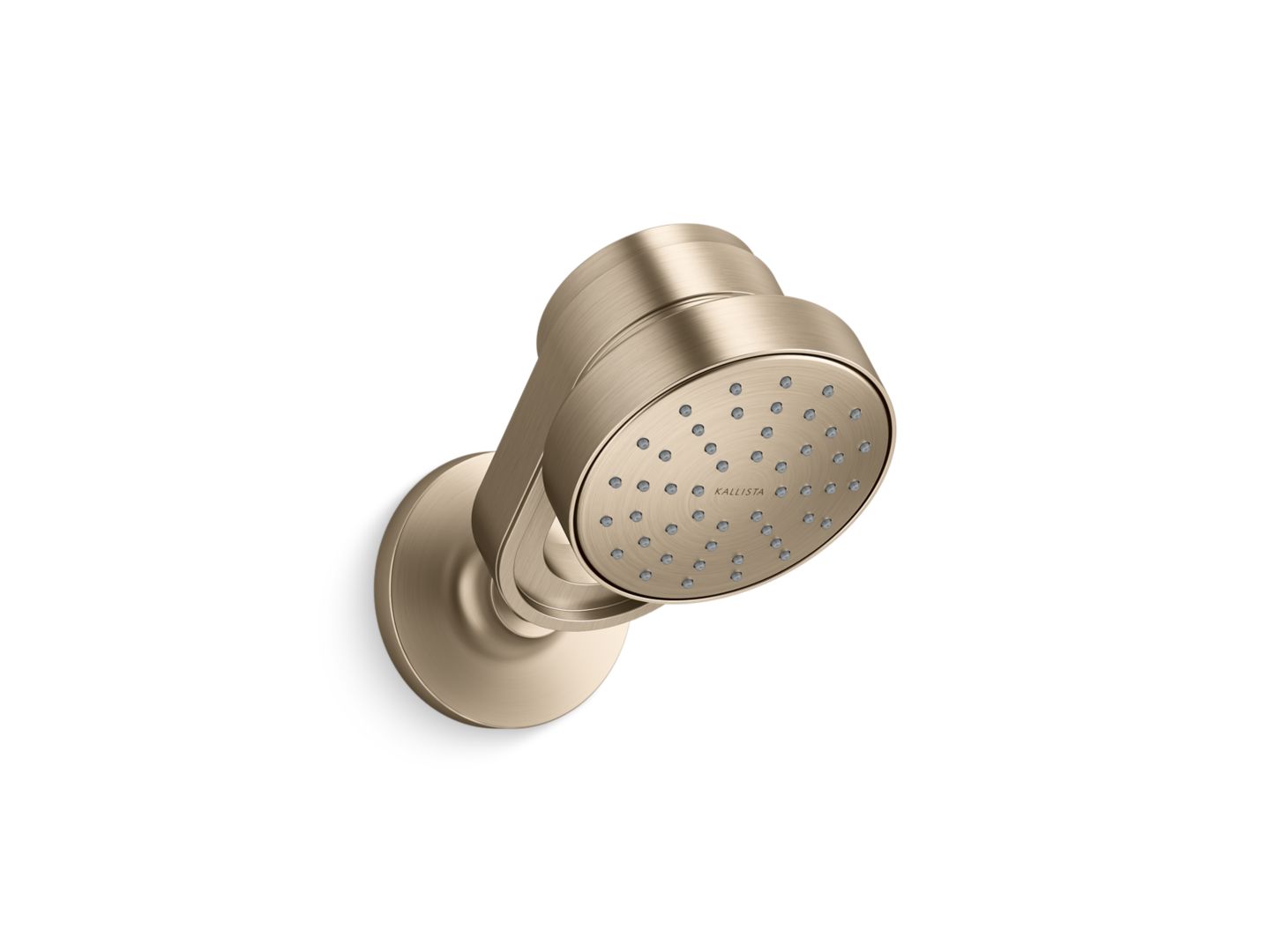 Bandeau™ Air-Induction Showerhead with Arm