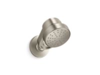 Air-Induction Showerhead with Arm 0