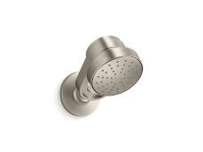 Bandeau™ Air-Induction Showerhead with Arm