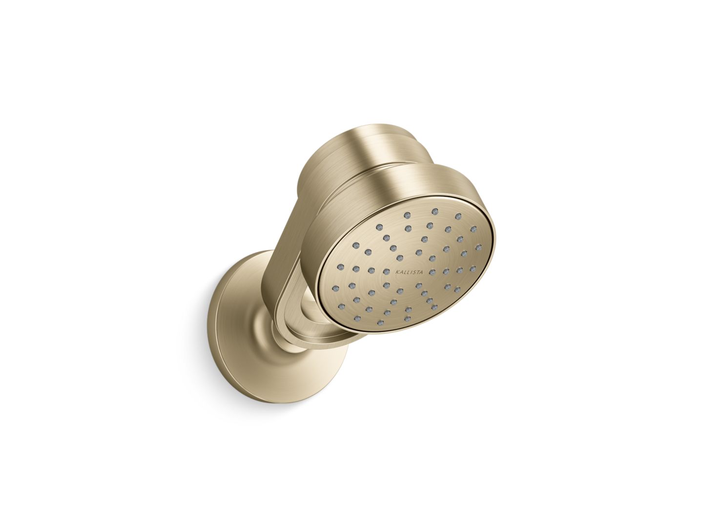 Bandeau™ Air-Induction Showerhead with Arm