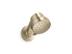Bandeau™ Air-Induction Showerhead with Arm