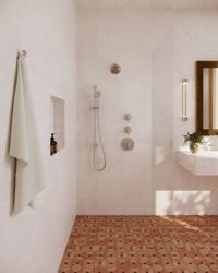 Transitional Handshower with Hose 4