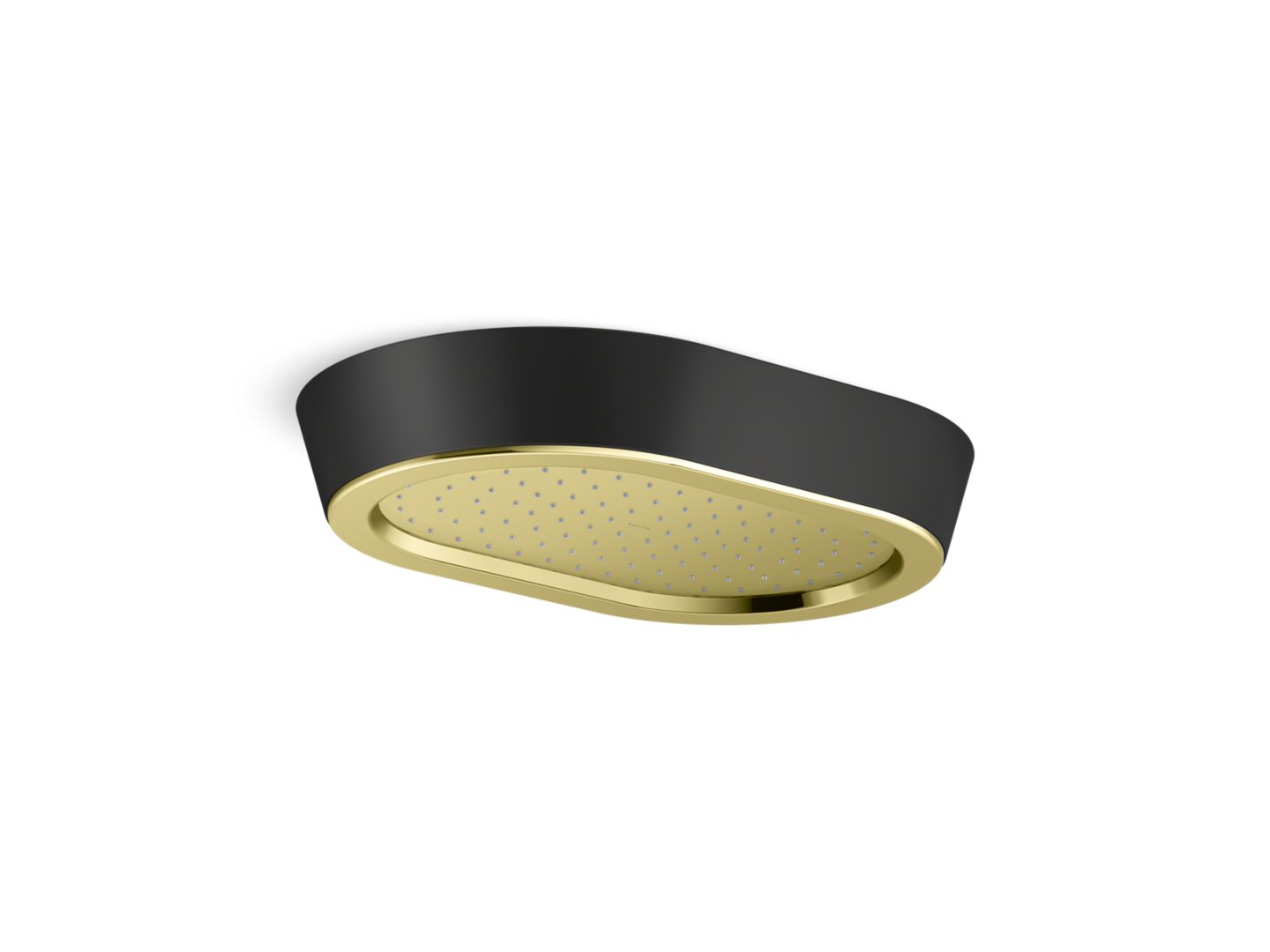 Bandeau™ Rain Showerhead, Black Argile™ band