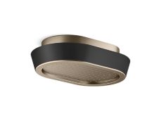 Bandeau™ Rain Showerhead, Black Argile™ band
