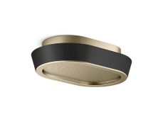 Bandeau™ Rain Showerhead, Black Argile™ band