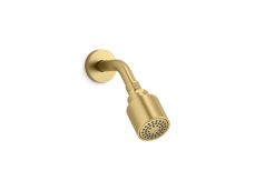 One™ Showerhead with Arm