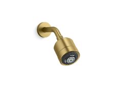 Showerhead with Arm