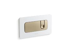 Foundations Dual Flush Wall-Mount Toilet Actuator