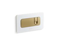 Dual Flush Wall-Mount Toilet Actuator 0