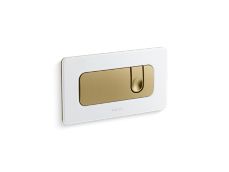 Foundations Dual Flush Wall-Mount Toilet Actuator