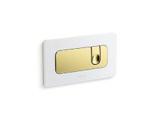Foundations Dual Flush Wall-Mount Toilet Actuator