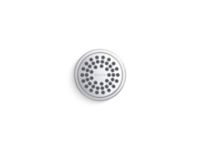 Showerhead with Arm 2