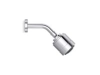 Showerhead with Arm 3