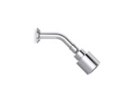Showerhead with Arm 2