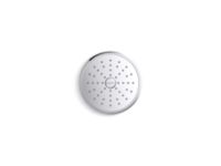 Transitional Showerhead with Arm 2