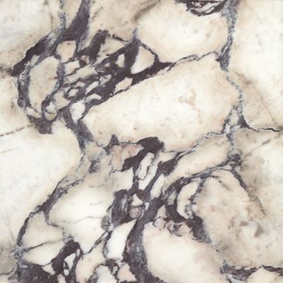 Calacatta Viola Swatch