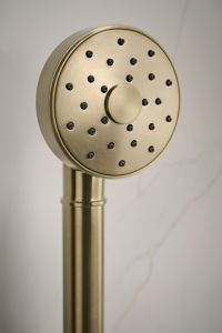Transitional Handshower with Hose 2 2