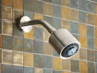 Showerhead with Arm 2