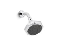 Multifunction Showerhead with Arm 0