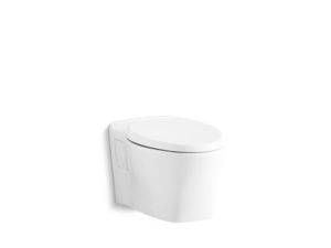 Wall-Mount Toilet Bowl