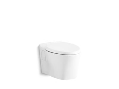 Wall-Mount Toilet Bowl