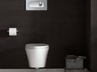Dual Flush Wall-Mount Toilet Actuator 2