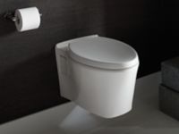 Wall-Mount Dual Flush Toilet, Less Seat and Flush Actuator 1