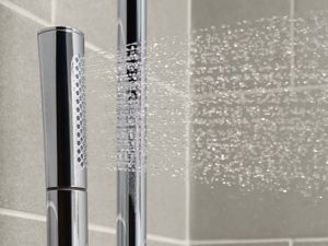 Wand Dual-Function Handshower with Hose