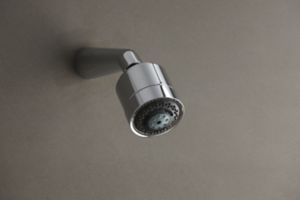 Multifunction Showerhead with Arm