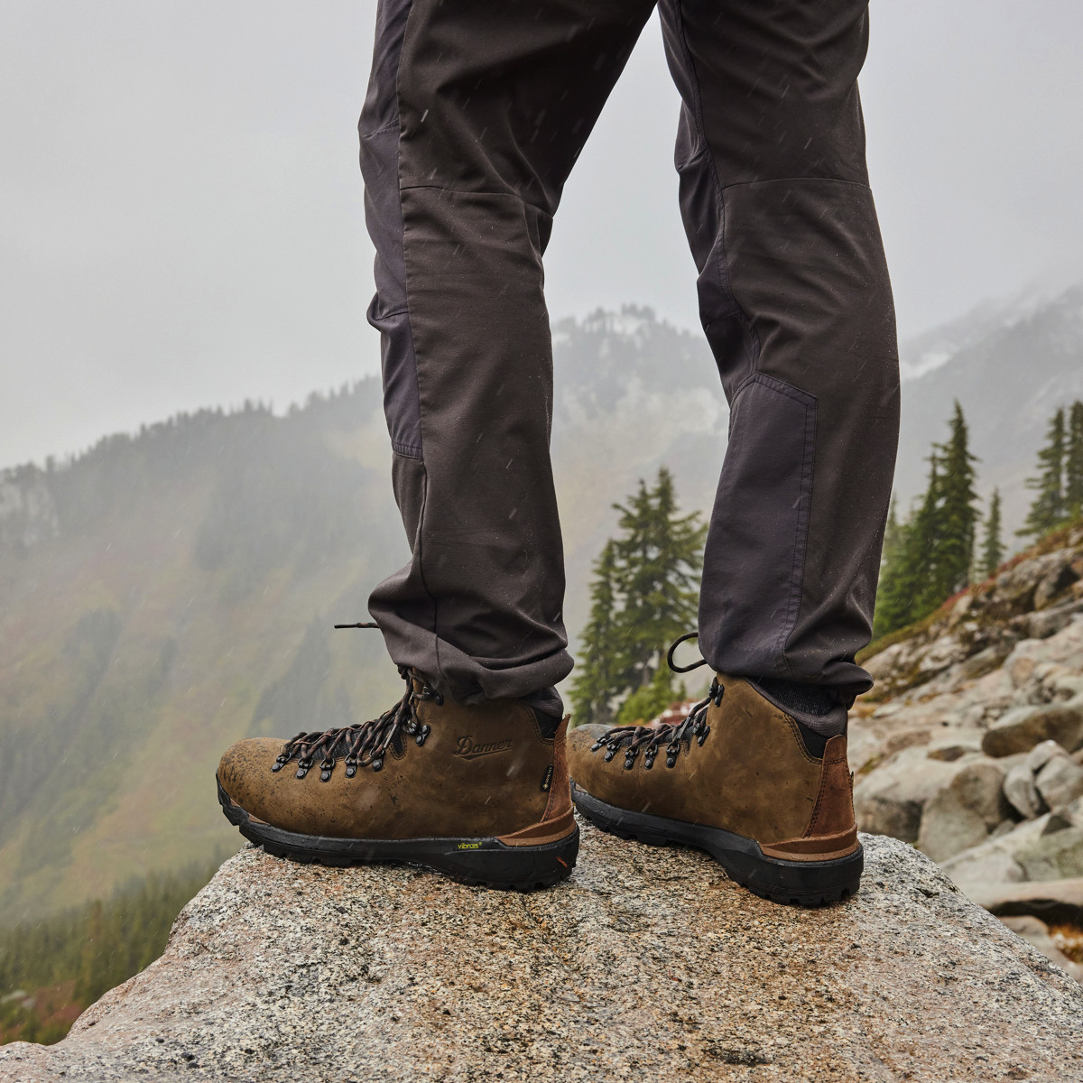 Danner - Mountain 600 EVO Topsoil Brown/Black