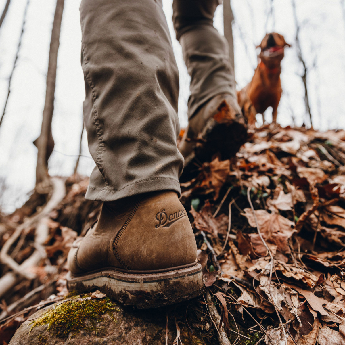 Danner - Cedar River Hunter Timberwolf