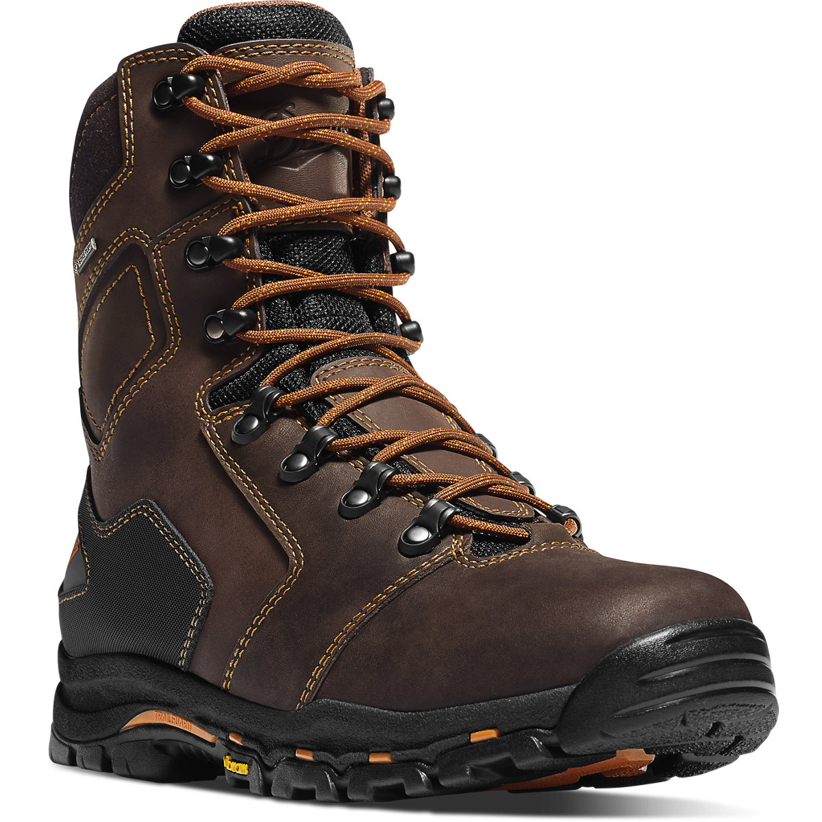 Danner vicious 2025 boots review