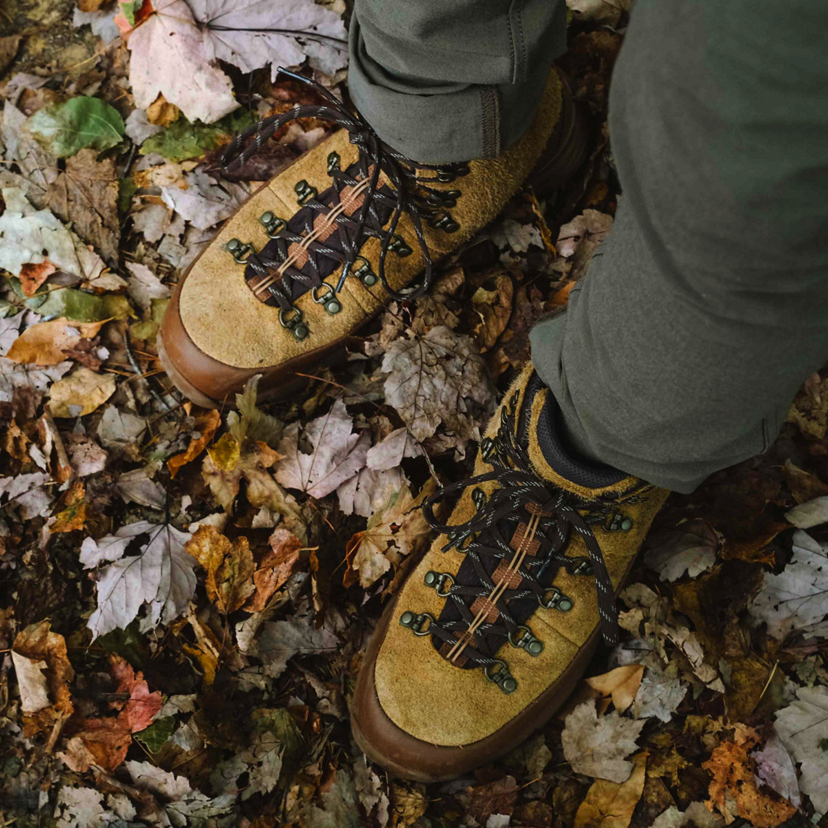 Mountain 600 GTX Huckberry 'Gold Rush'