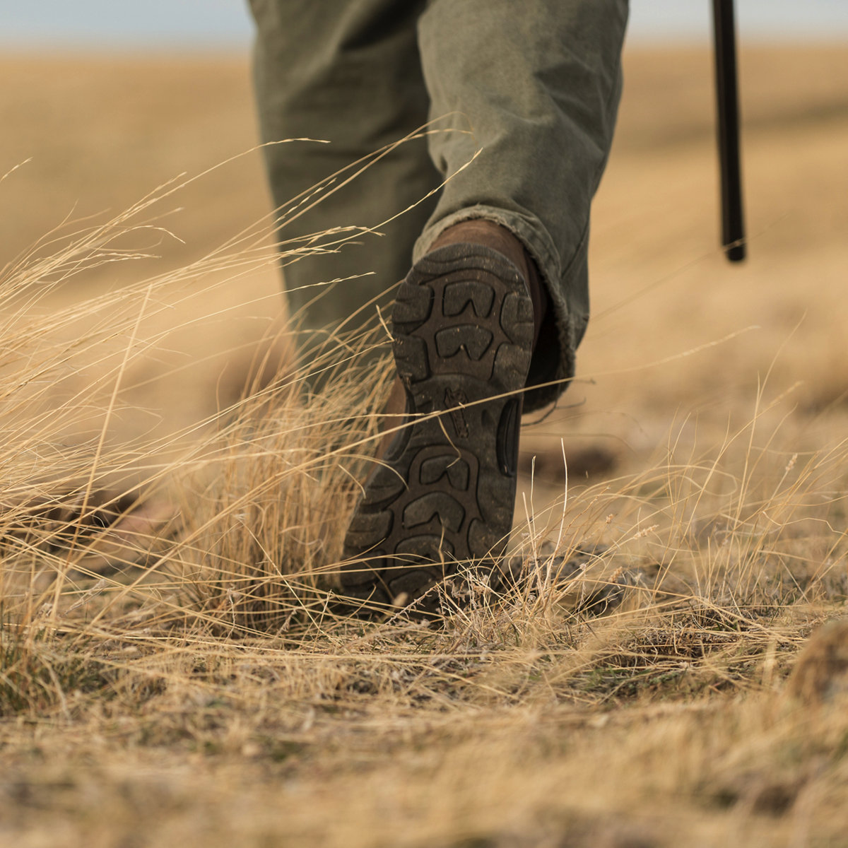 Sharptail 8" Dark Brown