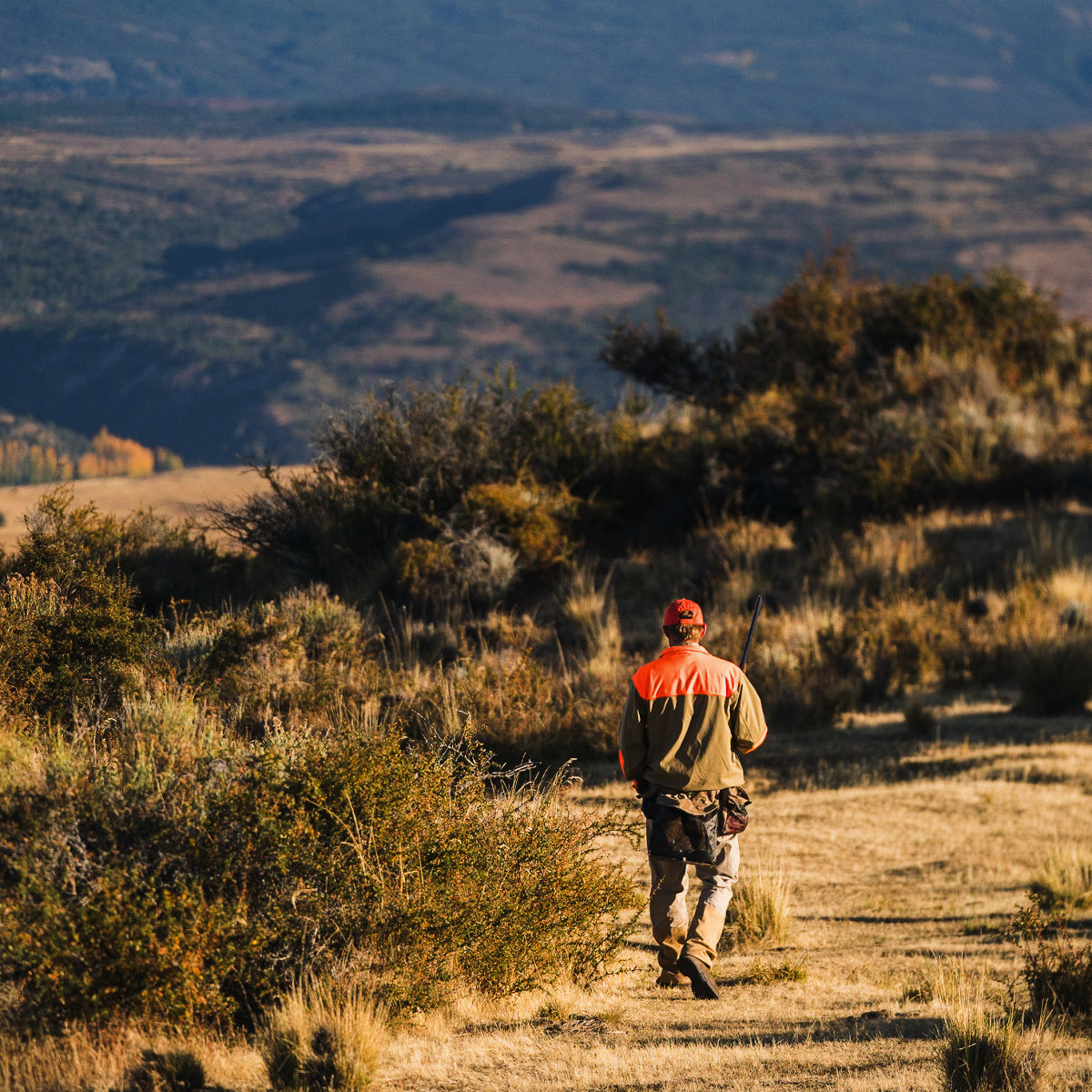 Danner - Sharptail 8