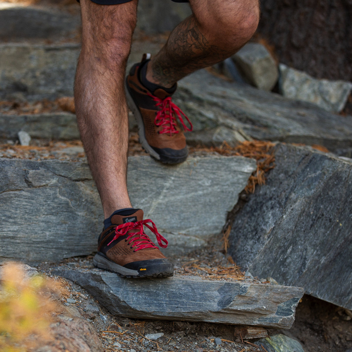 Danner - Trail 2650 Brown/Red