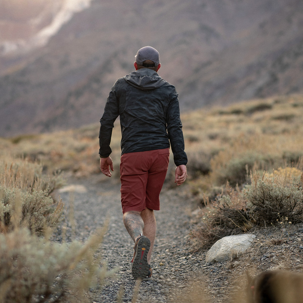 Danner - Trail 2650 Brown/Red