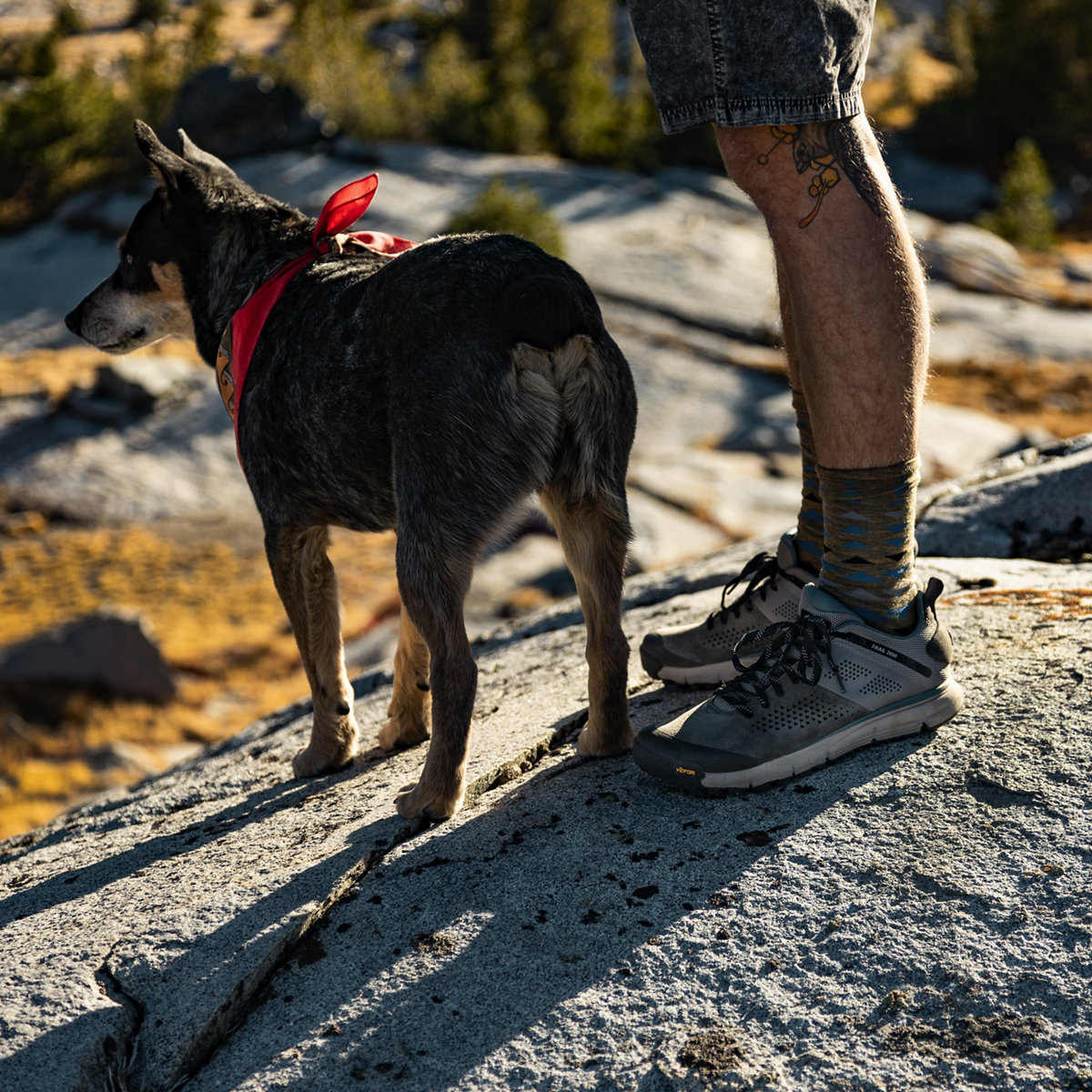 Danner Trail 2650 Charcoal Goblin Blue