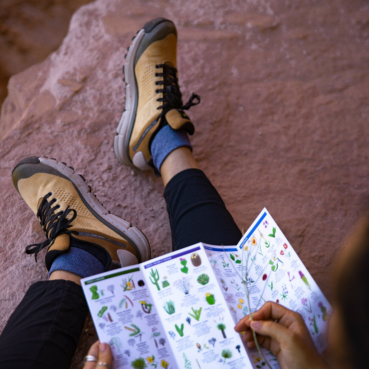 Danner - Trail 2650 GTX Prairie Sand/Gray