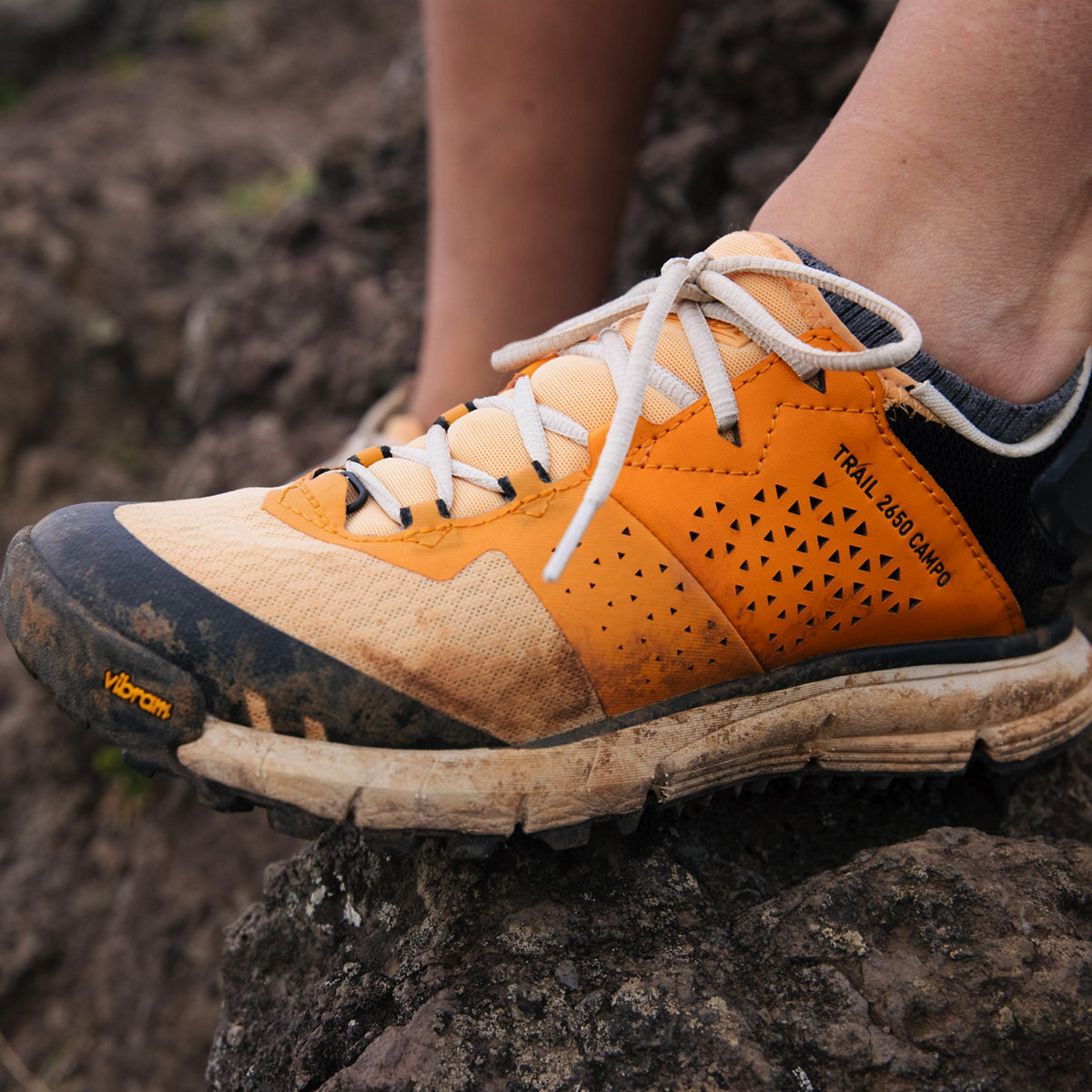 Danner Trail 2650 Hiking Shoes - Women's