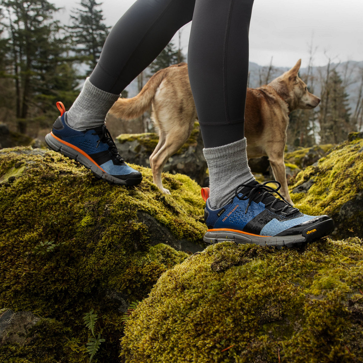 Danner - Trail 2650 Campo GTX Blue/Orange