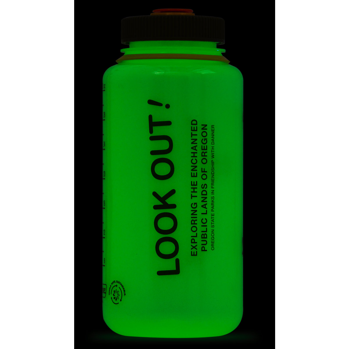 Logo Nalgene Water Bottle Glow In The Dark