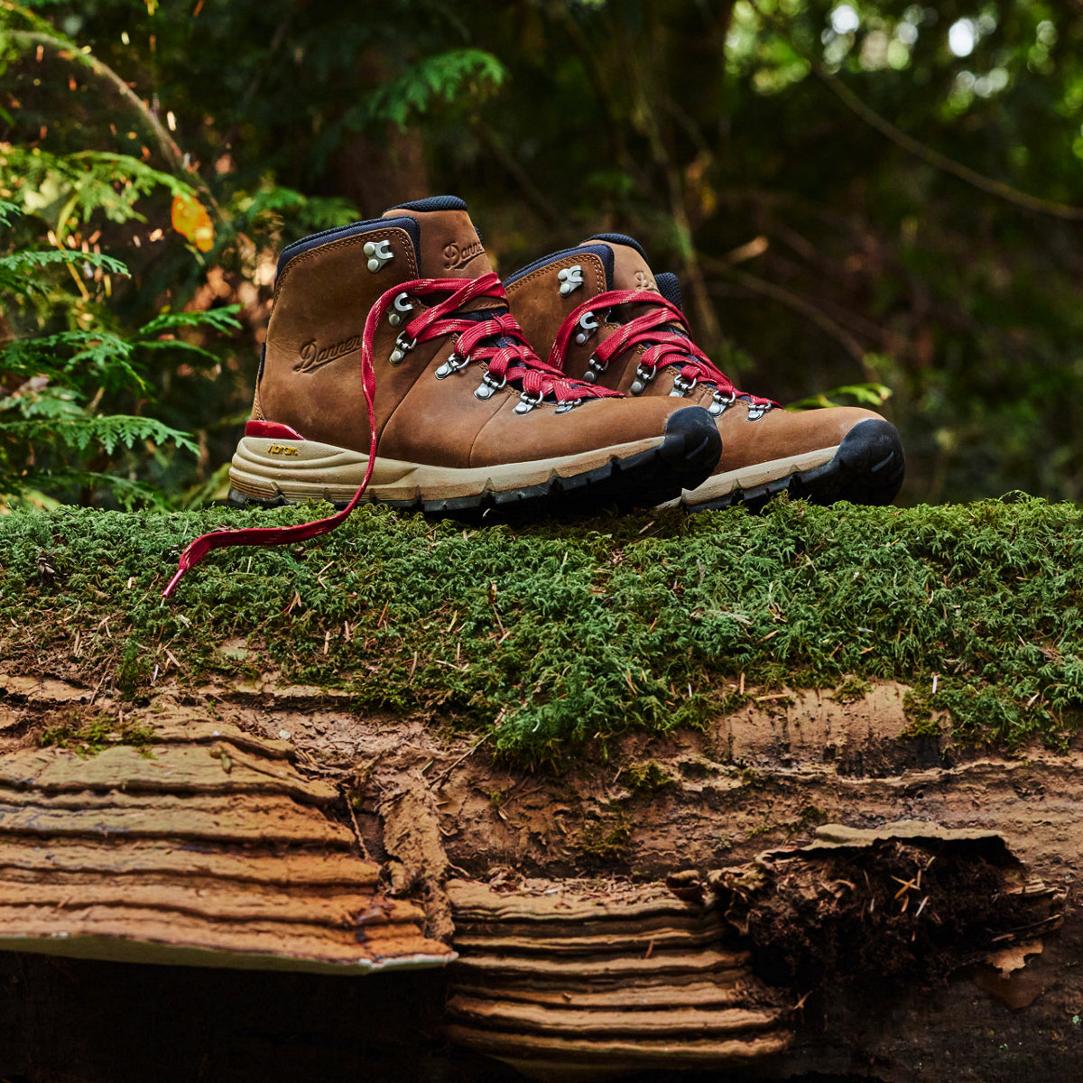 Danner hotsell mountain 600