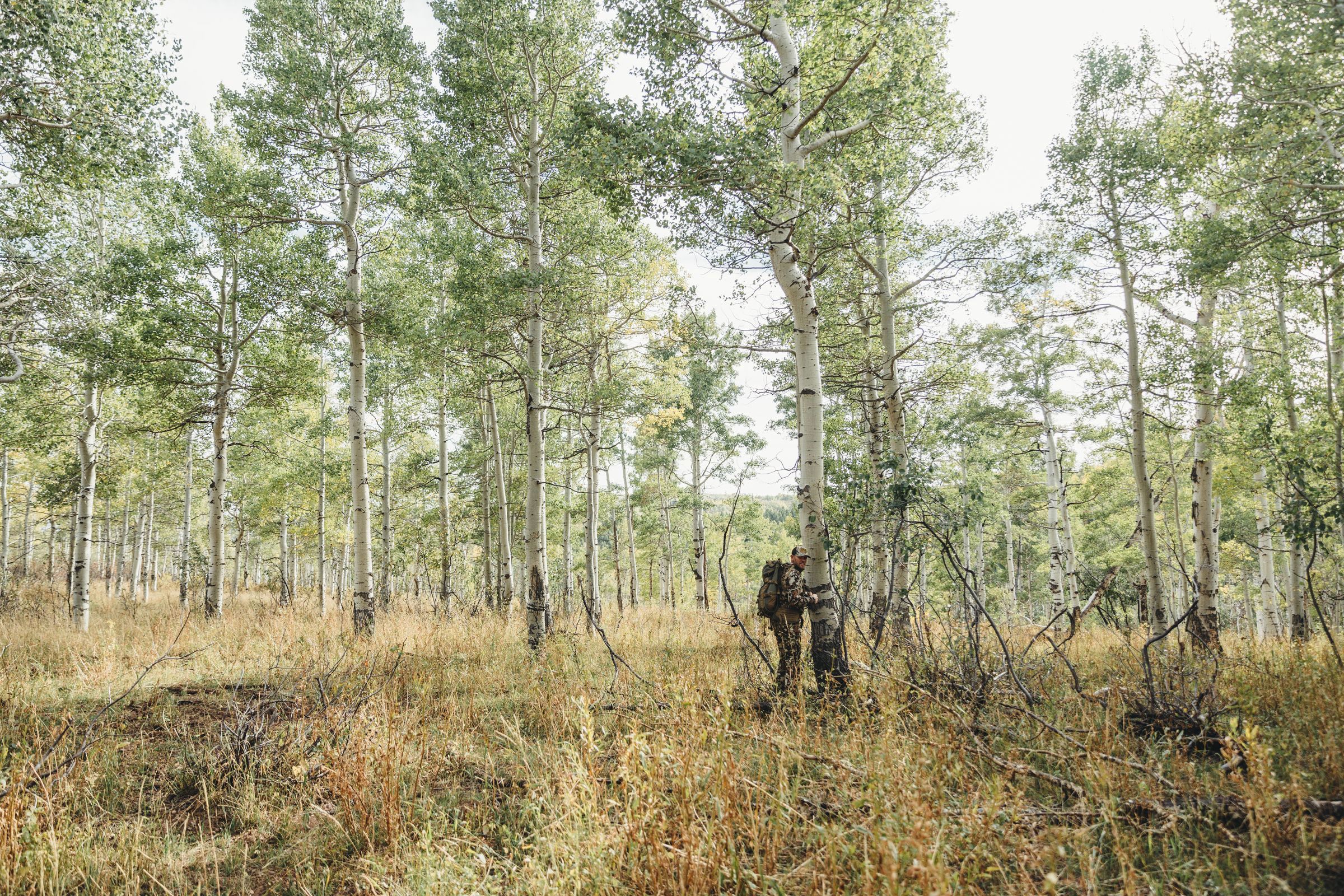 hunter walking through trees